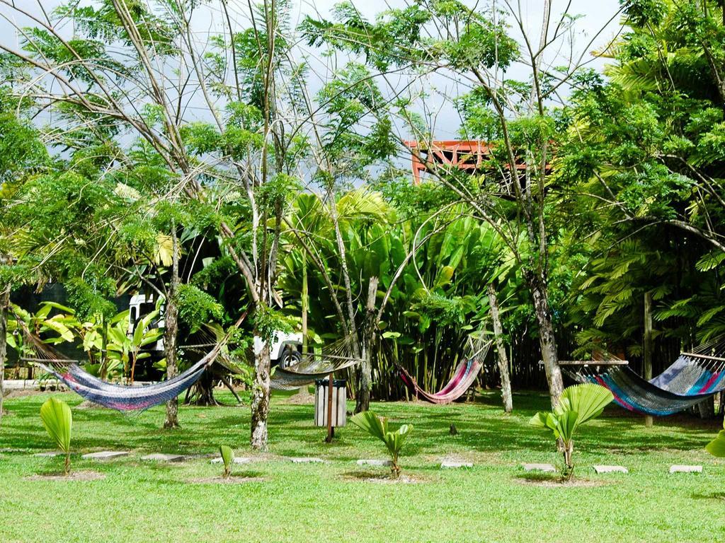 아레날 백패커스 리조트 La Fortuna 외부 사진 Hammocks in the garden of a hostel in Central America