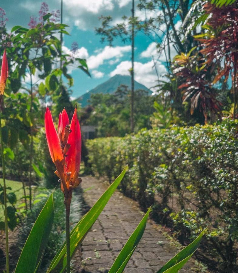 아레날 백패커스 리조트 La Fortuna 외부 사진 A view of Mount Apo
