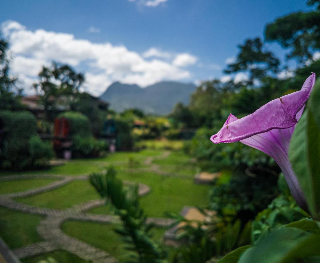 아레날 백패커스 리조트 La Fortuna 외부 사진 View of the San Juan Mountains from the San Juan del Monte