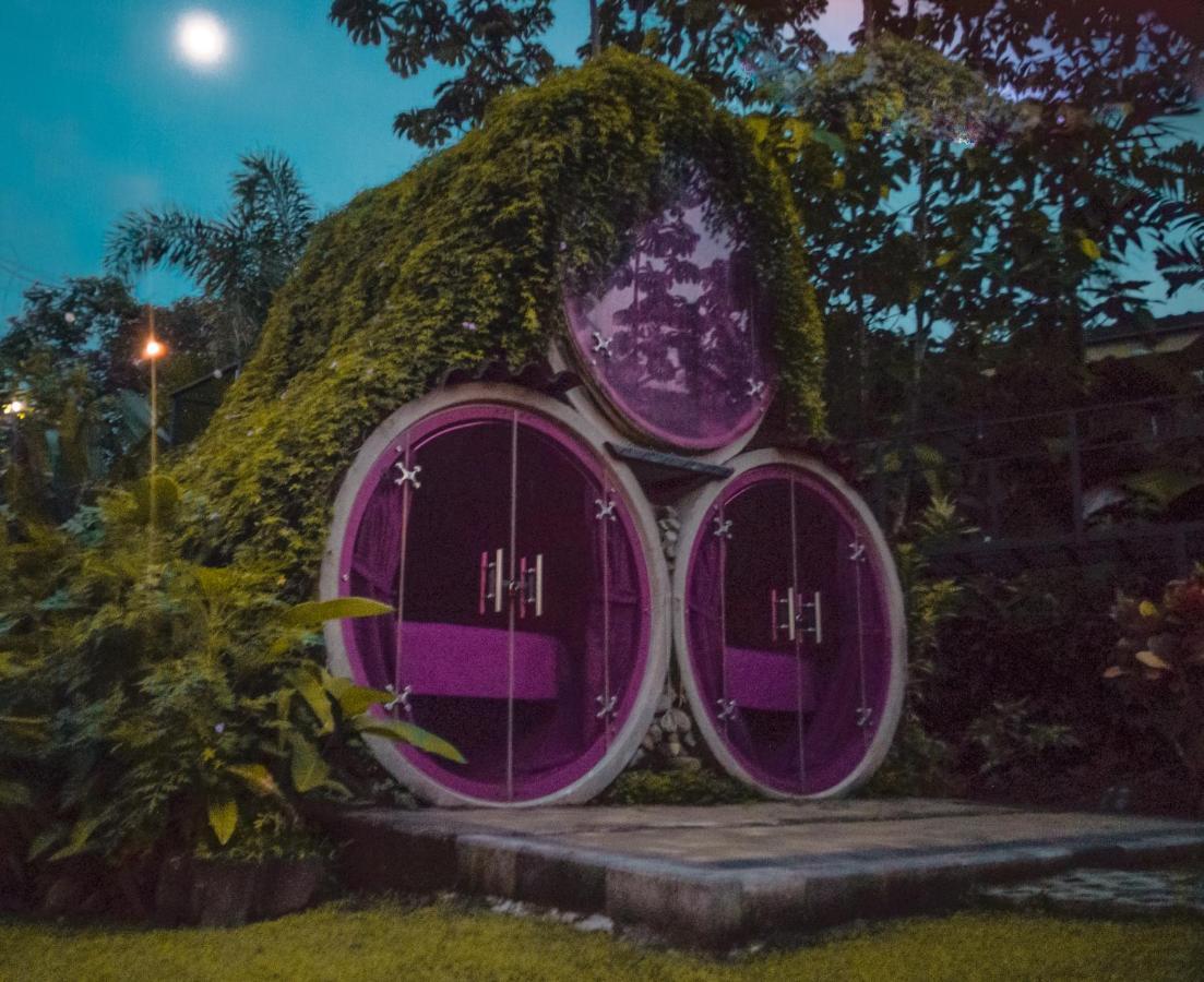 아레날 백패커스 리조트 La Fortuna 외부 사진 The Hobbit Hole