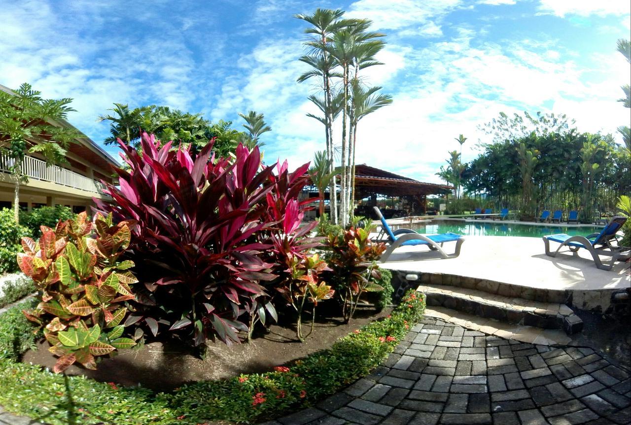 아레날 백패커스 리조트 La Fortuna 외부 사진 The pool at the resort