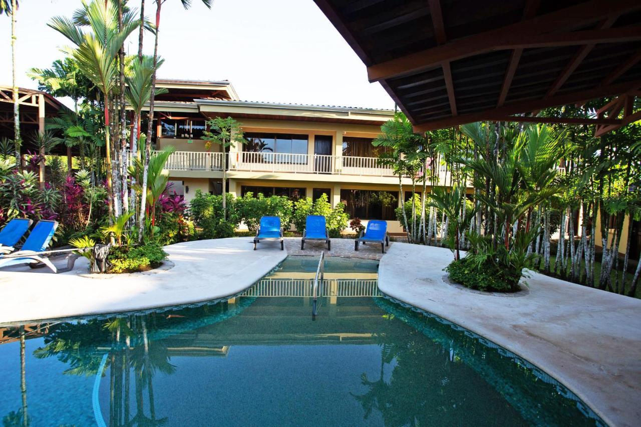 아레날 백패커스 리조트 La Fortuna 외부 사진 The swimming pool at the hotel