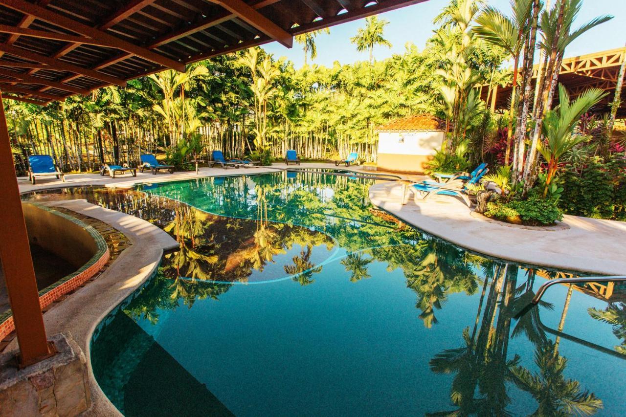 아레날 백패커스 리조트 La Fortuna 외부 사진 The swimming pool at the resort